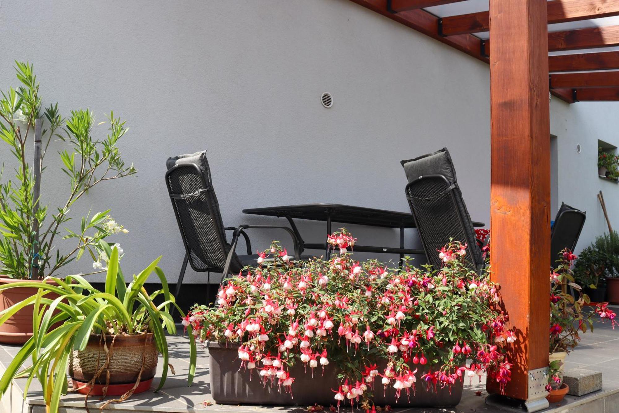 Ubytovani Eva Stara Rise Exterior foto